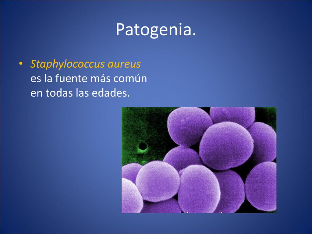 Patogenia. Staphylococcus aureus es la fuente más común en todas las edades.
