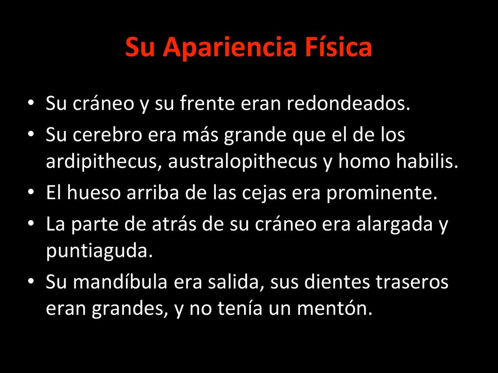 Su Apariencia Física Su cráneo y su frente eran redondeados.