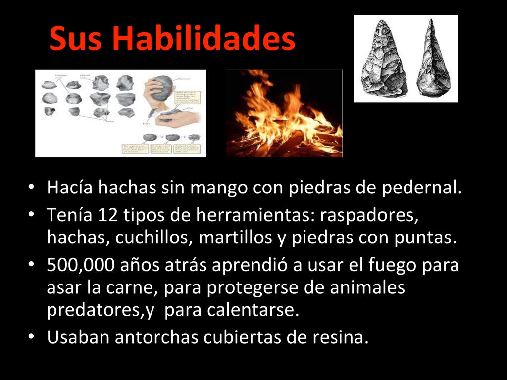 Sus Habilidades Hacía hachas sin mango con piedras de pedernal.