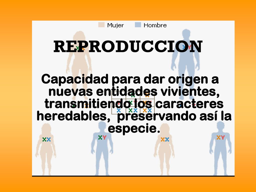 REPRODUCCION Capacidad para dar origen a nuevas entidades vivientes, transmitiendo los caracteres heredables, preservando así la especie.