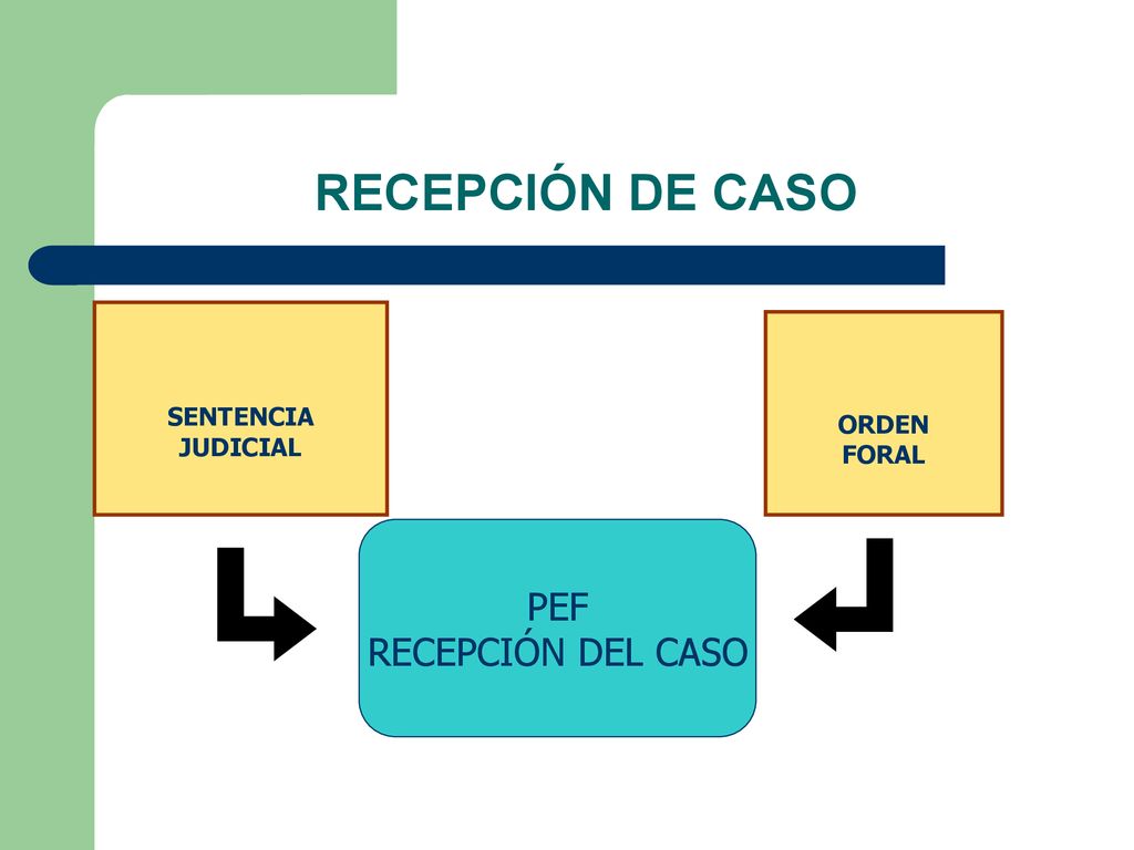 RECEPCIÓN DE CASO PEF RECEPCIÓN DEL CASO SENTENCIA JUDICIAL ORDEN
