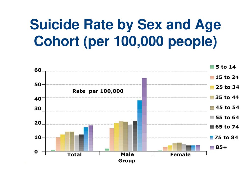 Suicide Rate by Sex and Age Cohort (per 100,000 people)