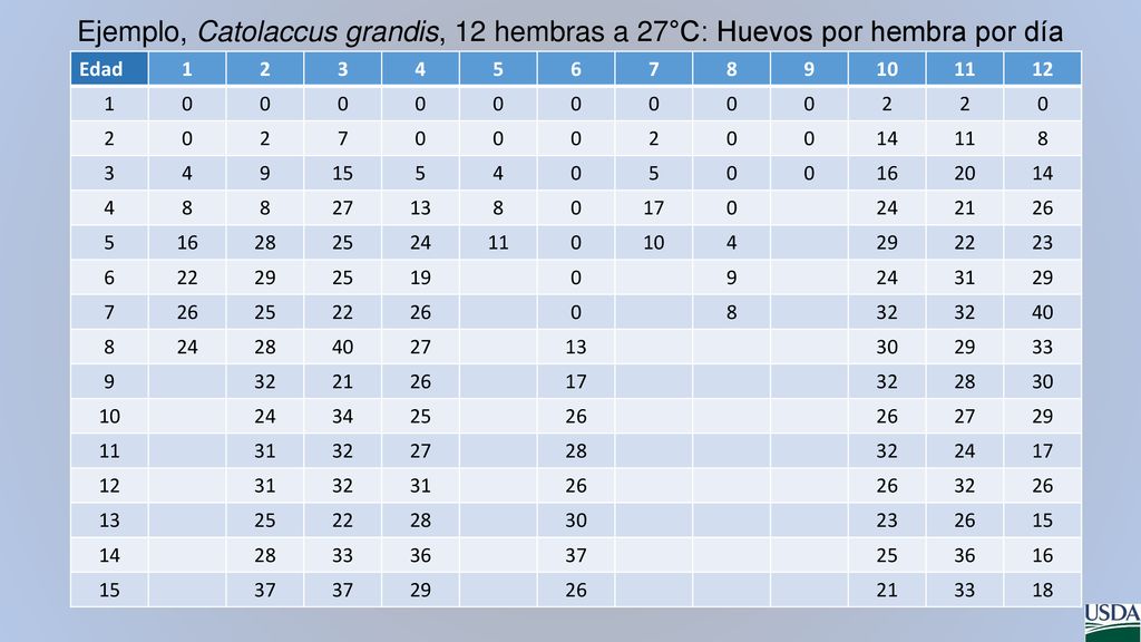 Ejemplo, Catolaccus grandis, 12 hembras a 27°C: Huevos por hembra por día