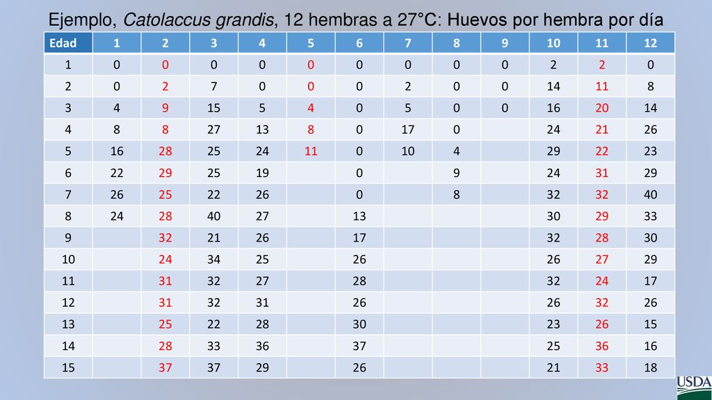 Ejemplo, Catolaccus grandis, 12 hembras a 27°C: Huevos por hembra por día