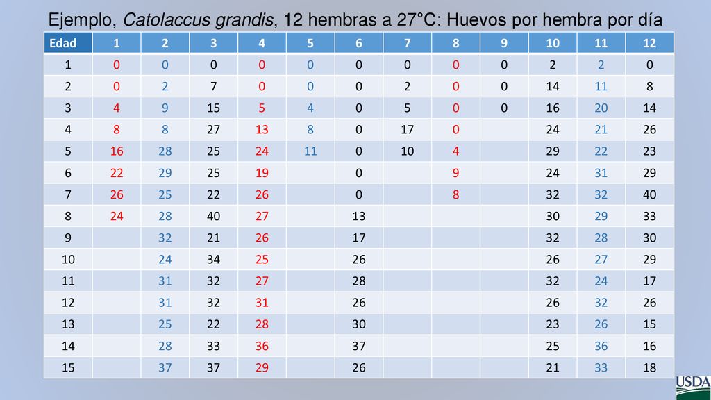 Ejemplo, Catolaccus grandis, 12 hembras a 27°C: Huevos por hembra por día