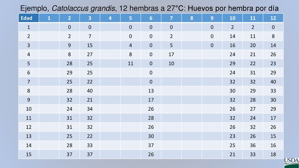 Ejemplo, Catolaccus grandis, 12 hembras a 27°C: Huevos por hembra por día