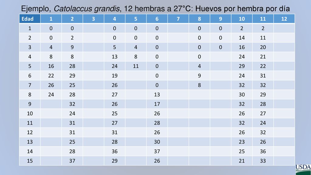 Ejemplo, Catolaccus grandis, 12 hembras a 27°C: Huevos por hembra por día