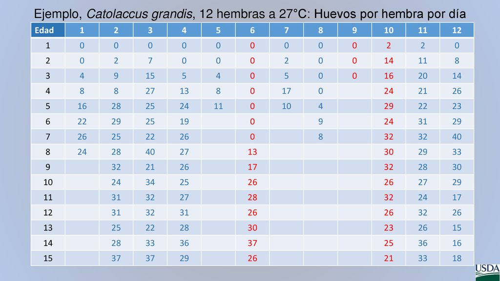 Ejemplo, Catolaccus grandis, 12 hembras a 27°C: Huevos por hembra por día