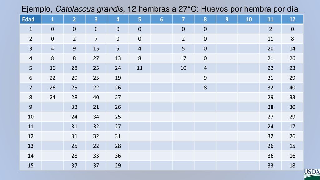Ejemplo, Catolaccus grandis, 12 hembras a 27°C: Huevos por hembra por día