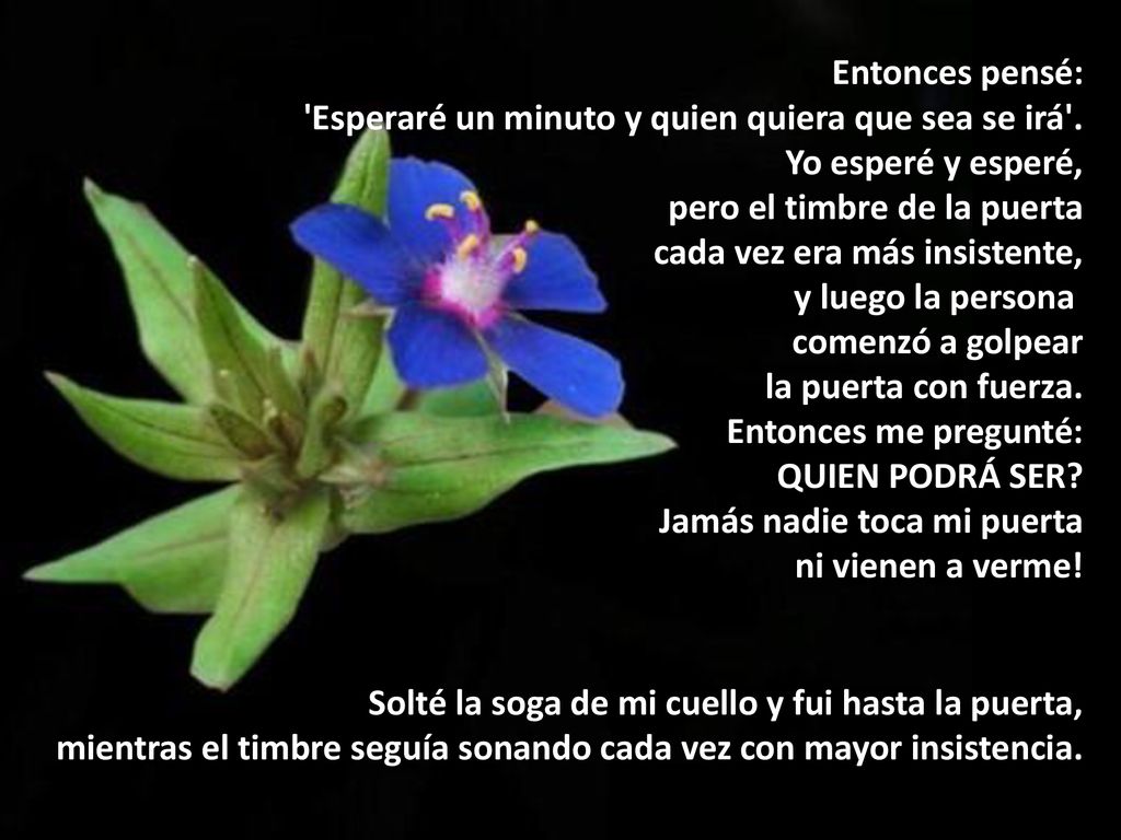 Entonces pensé: Esperaré un minuto y quien quiera que sea se irá . Yo esperé y esperé, pero el timbre de la puerta.
