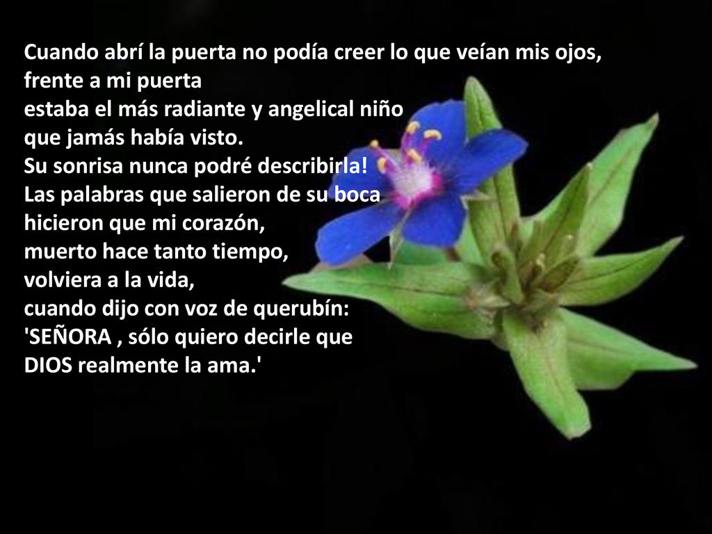 Cuando abrí la puerta no podía creer lo que veían mis ojos,