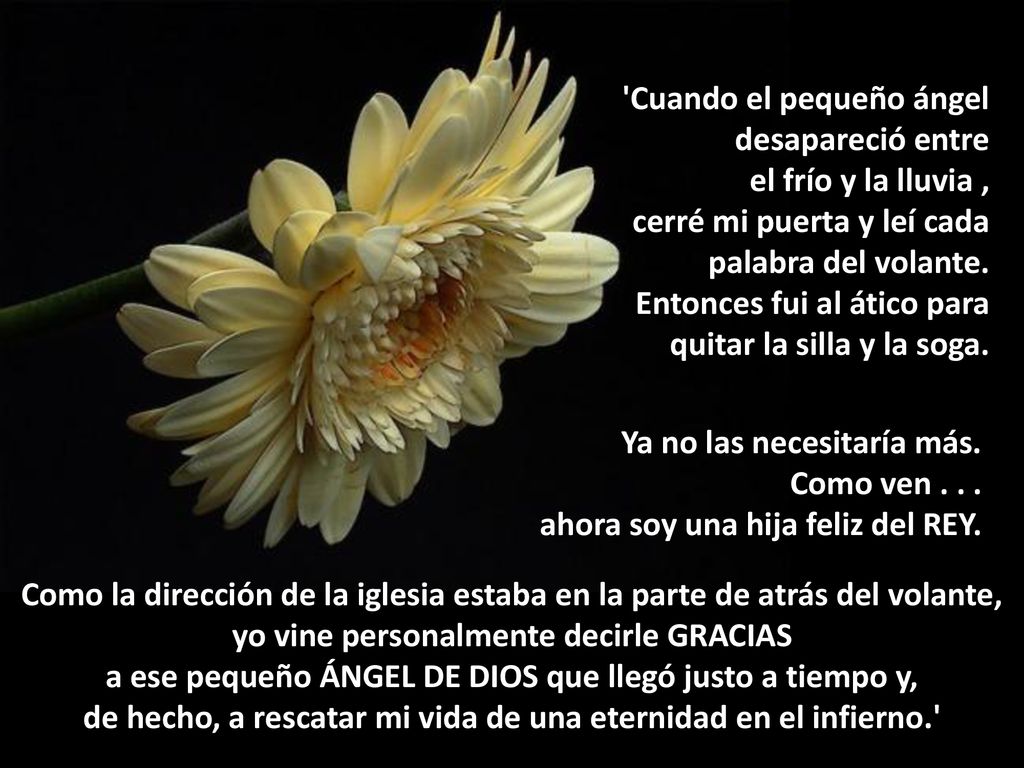 Cuando el pequeño ángel desapareció entre el frío y la lluvia ,