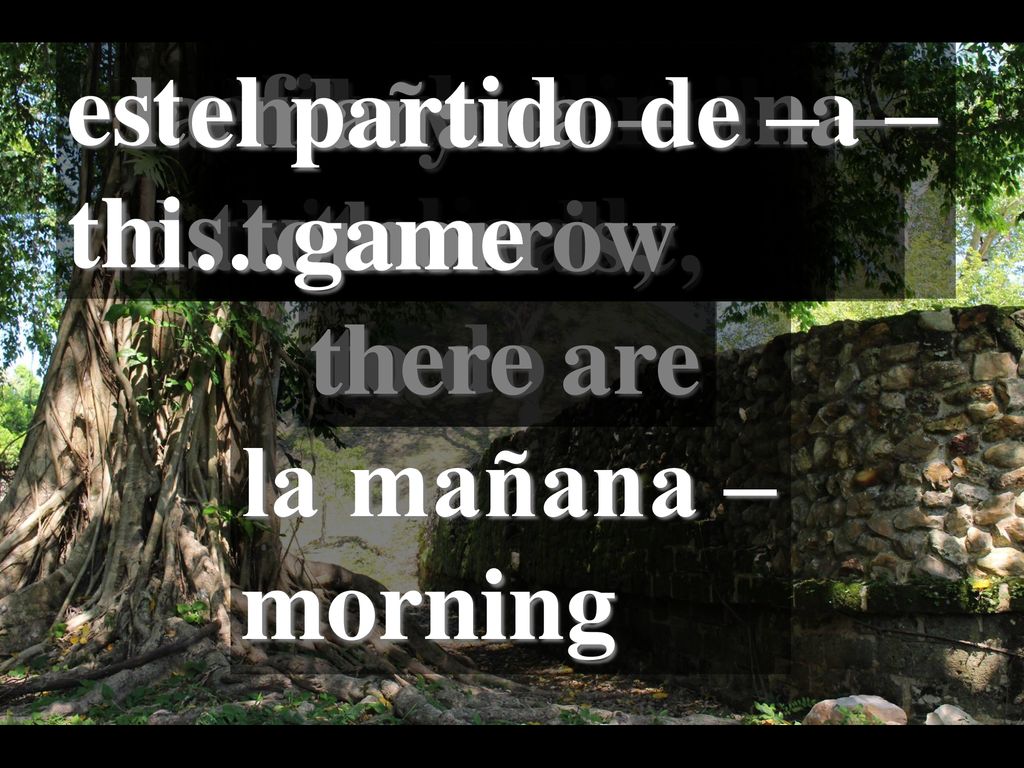 este fin de semana – this weekend. la clase de baile – dance class. el partido de – …game. esta semana –