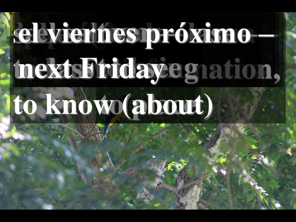 saber (de) – to know information, to know (about) la próxima semana – next week. el viernes próximo –
