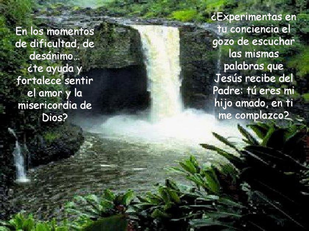 ¿Experimentas en tu conciencia el gozo de escuchar las mismas palabras que Jesús recibe del Padre: tú eres mi hijo amado, en ti me complazco
