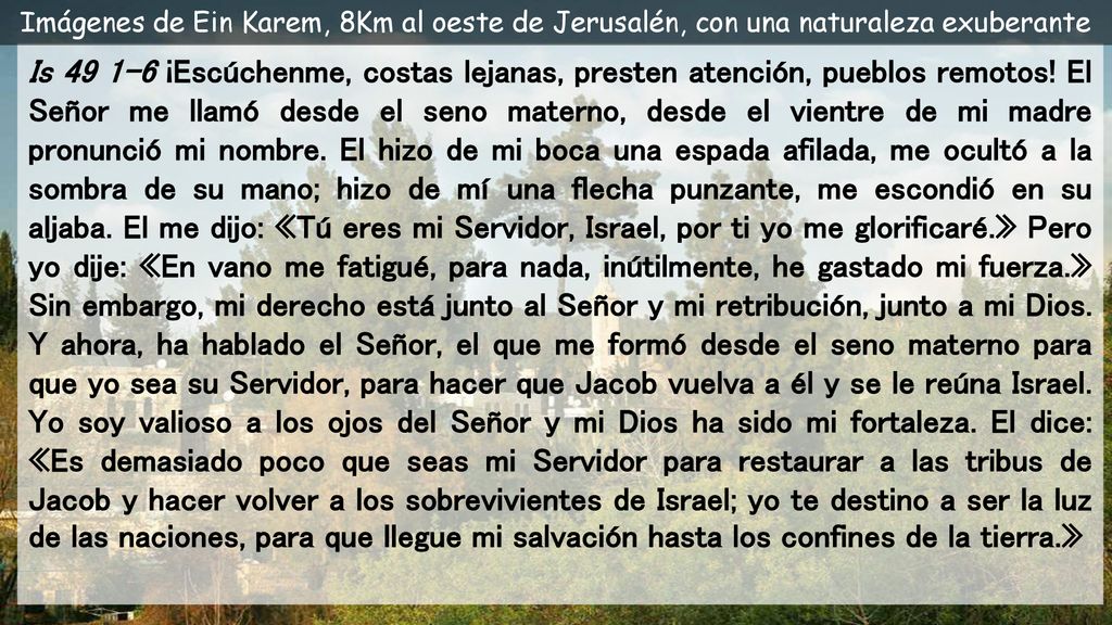Imágenes de Ein Karem, 8Km al oeste de Jerusalén, con una naturaleza exuberante