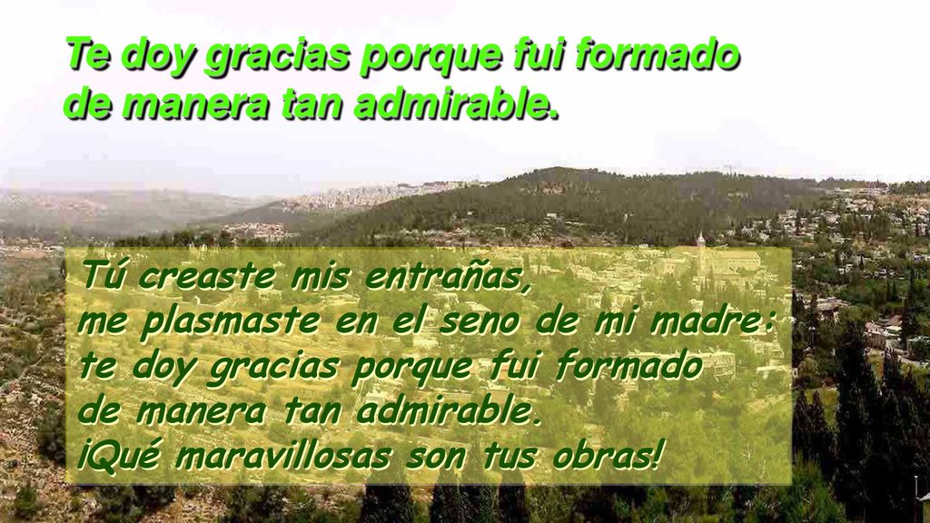 Te doy gracias porque fui formado de manera tan admirable.