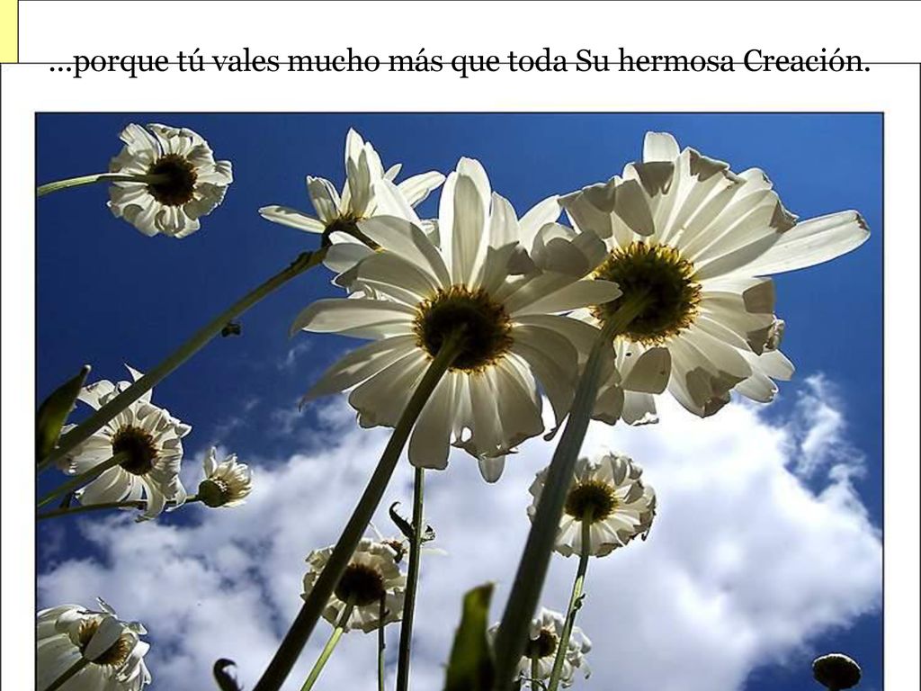 ...porque tú vales mucho más que toda Su hermosa Creación.