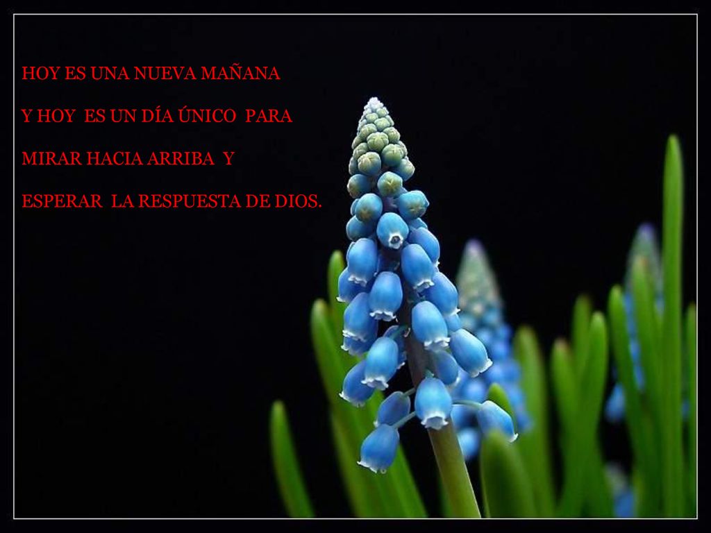 HOY ES UNA NUEVA MAÑANA Y HOY ES UN DÍA ÚNICO PARA.