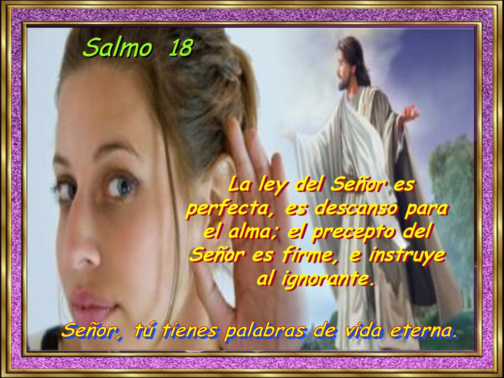 Salmo 18 La ley del Señor es perfecta, es descanso para el alma; el precepto del Señor es firme, e instruye al ignorante.