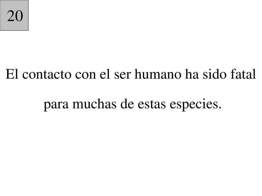 20 El contacto con el ser humano ha sido fatal para muchas de estas especies.