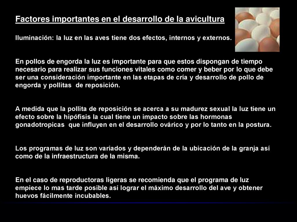 Factores importantes en el desarrollo de la avicultura