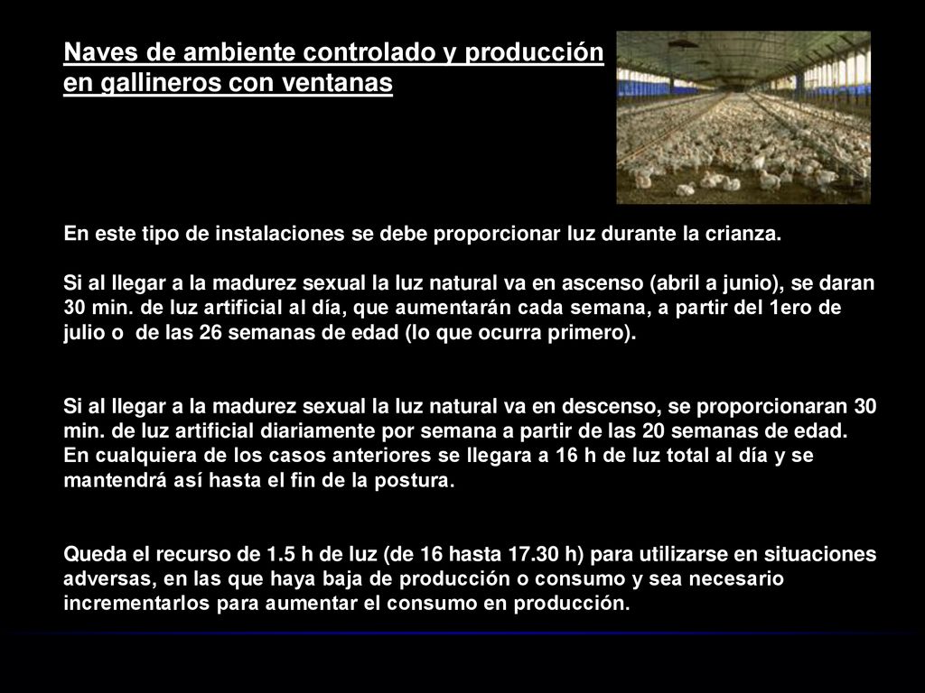 Naves de ambiente controlado y producción en gallineros con ventanas