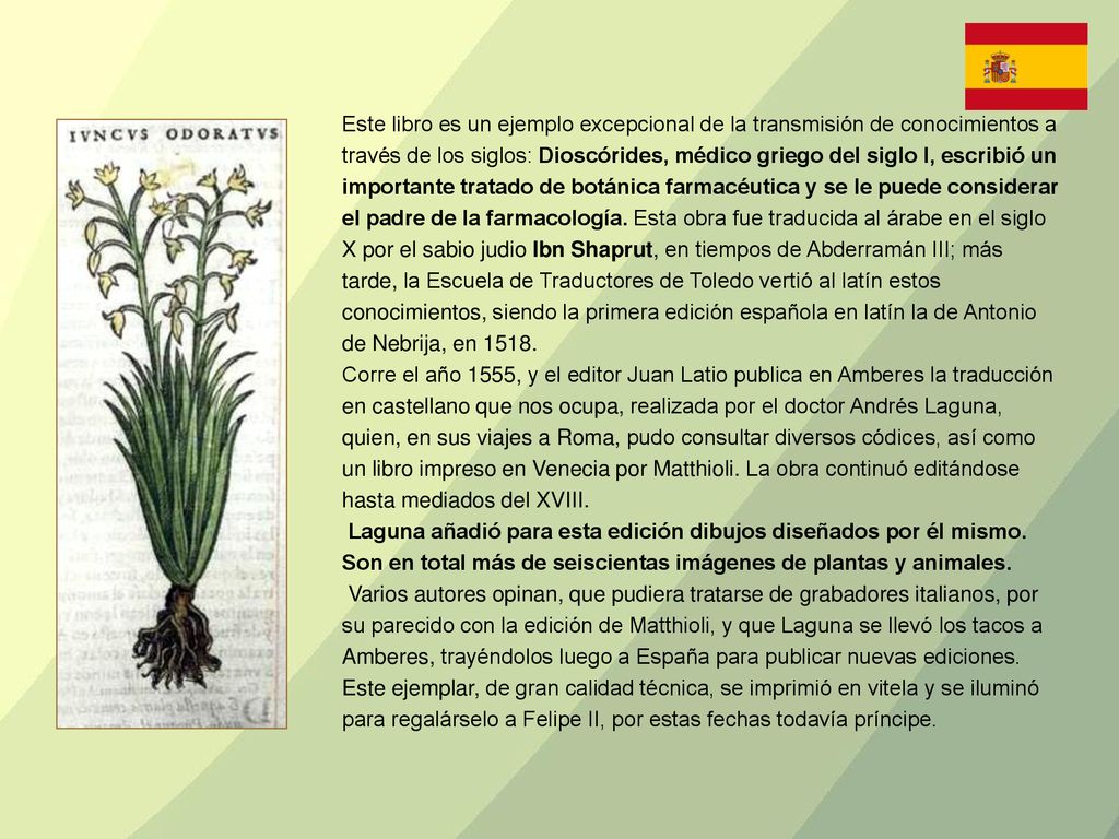 Este libro es un ejemplo excepcional de la transmisión de conocimientos a través de los siglos: Dioscórides, médico griego del siglo I, escribió un importante tratado de botánica farmacéutica y se le puede considerar el padre de la farmacología. Esta obra fue traducida al árabe en el siglo X por el sabio judio Ibn Shaprut, en tiempos de Abderramán III; más tarde, la Escuela de Traductores de Toledo vertió al latín estos conocimientos, siendo la primera edición española en latín la de Antonio de Nebrija, en 1518.