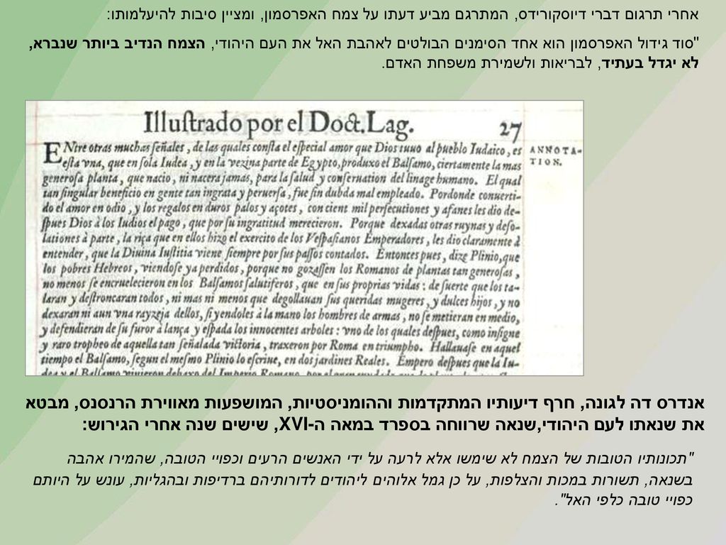 אחרי תרגום דברי דיוסקורידס, המתרגם מביע דעתו על צמח האפרסמון, ומציין סיבות להיעלמותו: