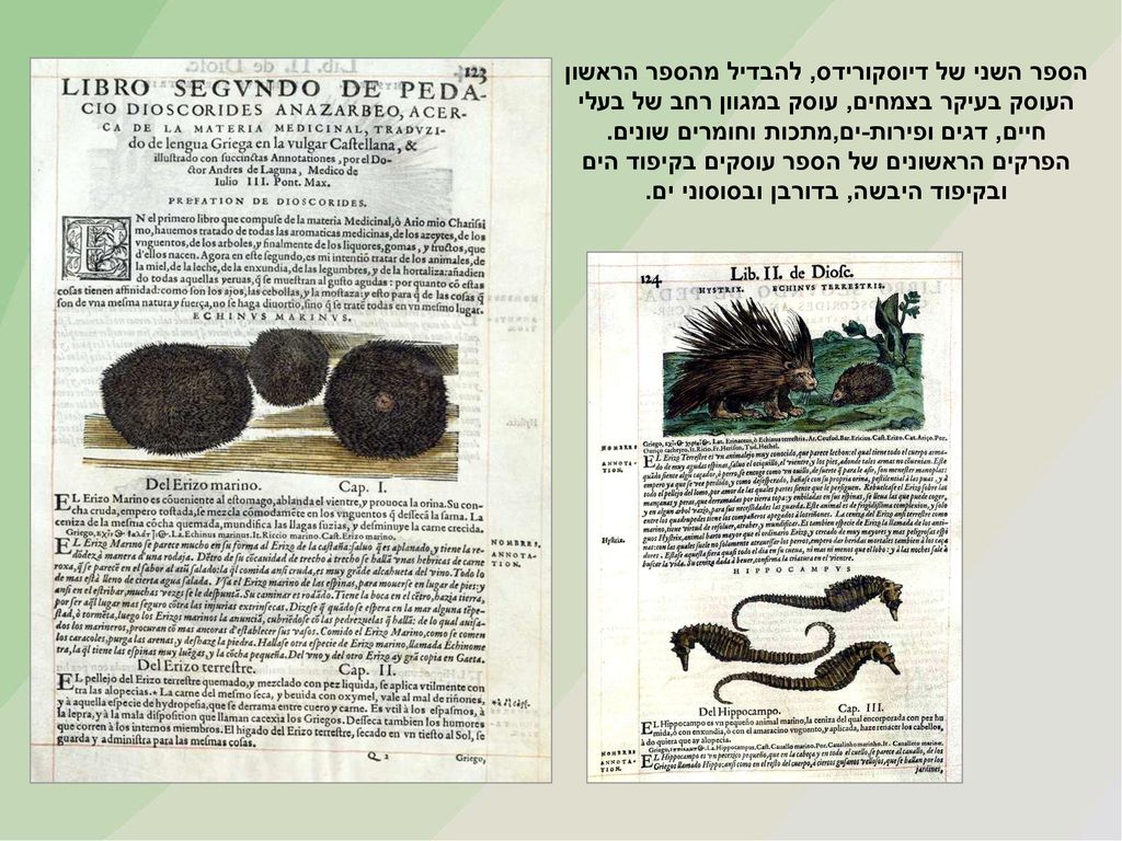 הספר השני של דיוסקורידס, להבדיל מהספר הראשון העוסק בעיקר בצמחים, עוסק במגוון רחב של בעלי חיים, דגים ופירות-ים,מתכות וחומרים שונים.
