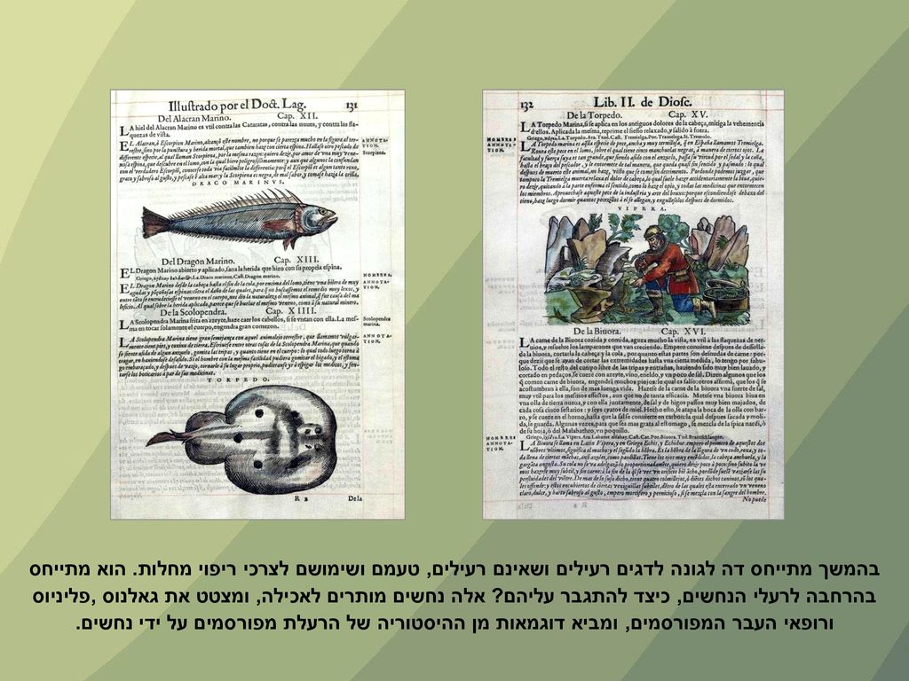 בהמשך מתייחס דה לגונה לדגים רעילים ושאינם רעילים, טעמם ושימושם לצרכי ריפוי מחלות.