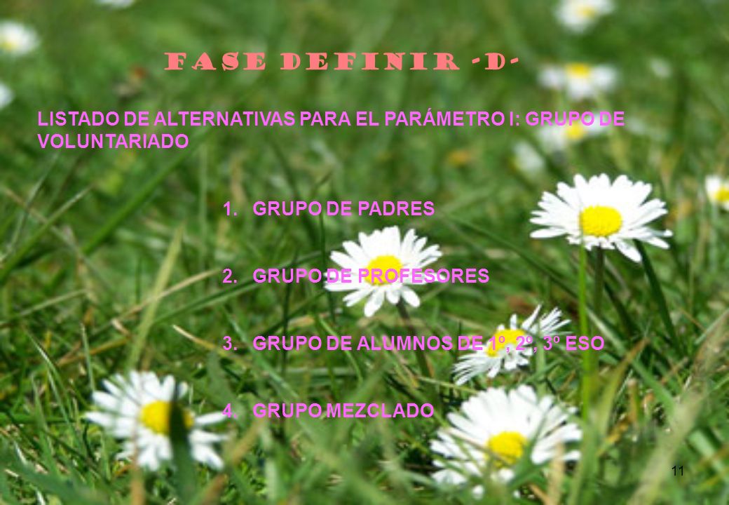 FASE DEFINIR -D- LISTADO DE ALTERNATIVAS PARA EL PARÁMETRO I: GRUPO DE VOLUNTARIADO. GRUPO DE PADRES.
