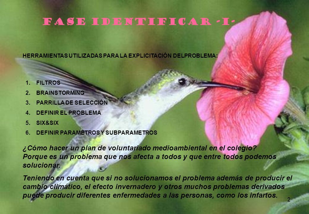 FASE IDENTIFICAR -I- HERRAMIENTAS UTILIZADAS PARA LA EXPLICITACIÓN DELPROBLEMA: FILTROS. BRAINSTORMING.