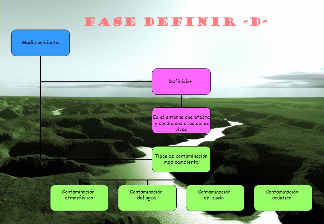 FASE DEFINIR -D- Medio ambiente Definición Es el entorno que afecta