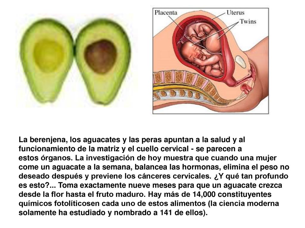 La berenjena, los aguacates y las peras apuntan a la salud y al funcionamiento de la matriz y el cuello cervical - se parecen a estos órganos.