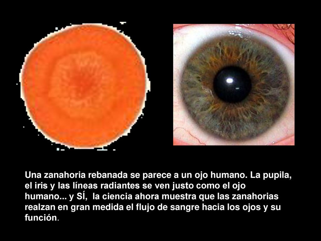 Una zanahoria rebanada se parece a un ojo humano