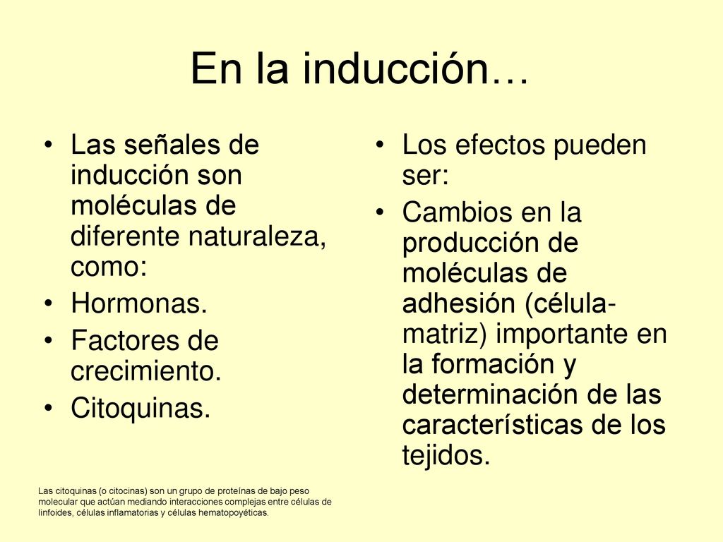 En la inducción… Las señales de inducción son moléculas de diferente naturaleza, como: Hormonas. Factores de crecimiento.