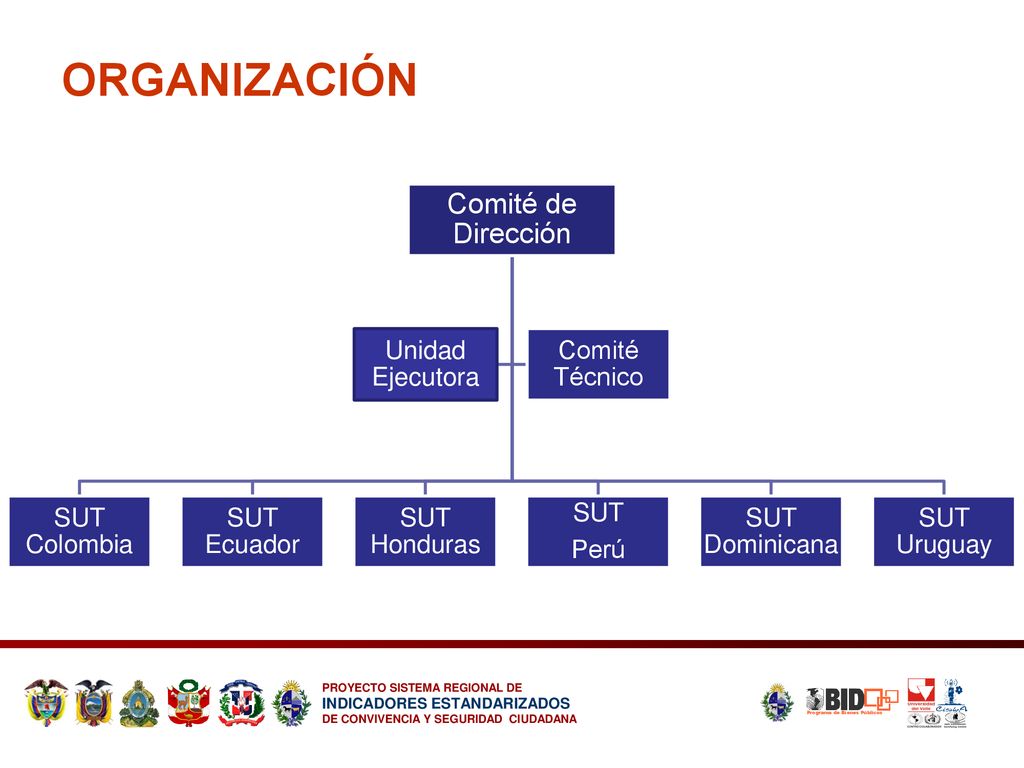 ORGANIZACIÓN Comité de Dirección SUT Colombia SUT Ecuador SUT Honduras
