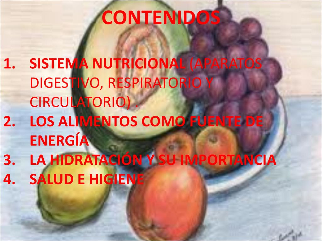 CONTENIDOS SISTEMA NUTRICIONAL (APARATOS DIGESTIVO, RESPIRATORIO Y CIRCULATORIO) . LOS ALIMENTOS COMO FUENTE DE ENERGÍA.