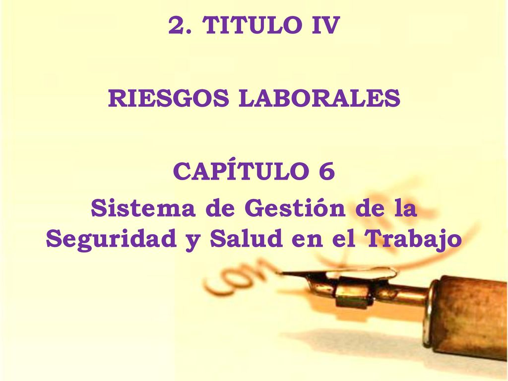 2. TITULO IV RIESGOS LABORALES CAPÍTULO 6 Sistema de Gestión de la Seguridad y Salud en el Trabajo