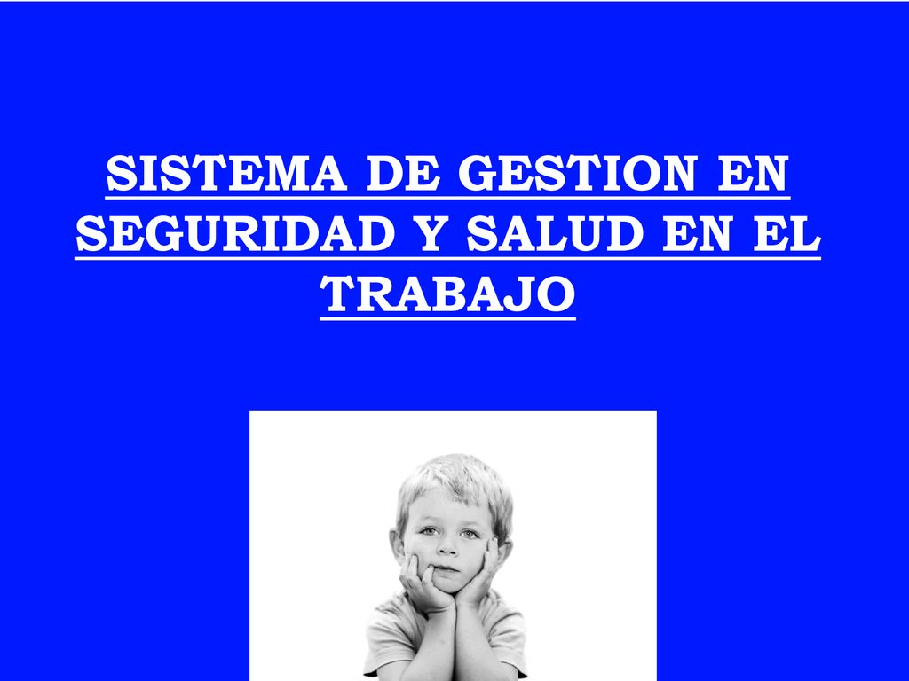 SISTEMA DE GESTION EN SEGURIDAD Y SALUD EN EL TRABAJO