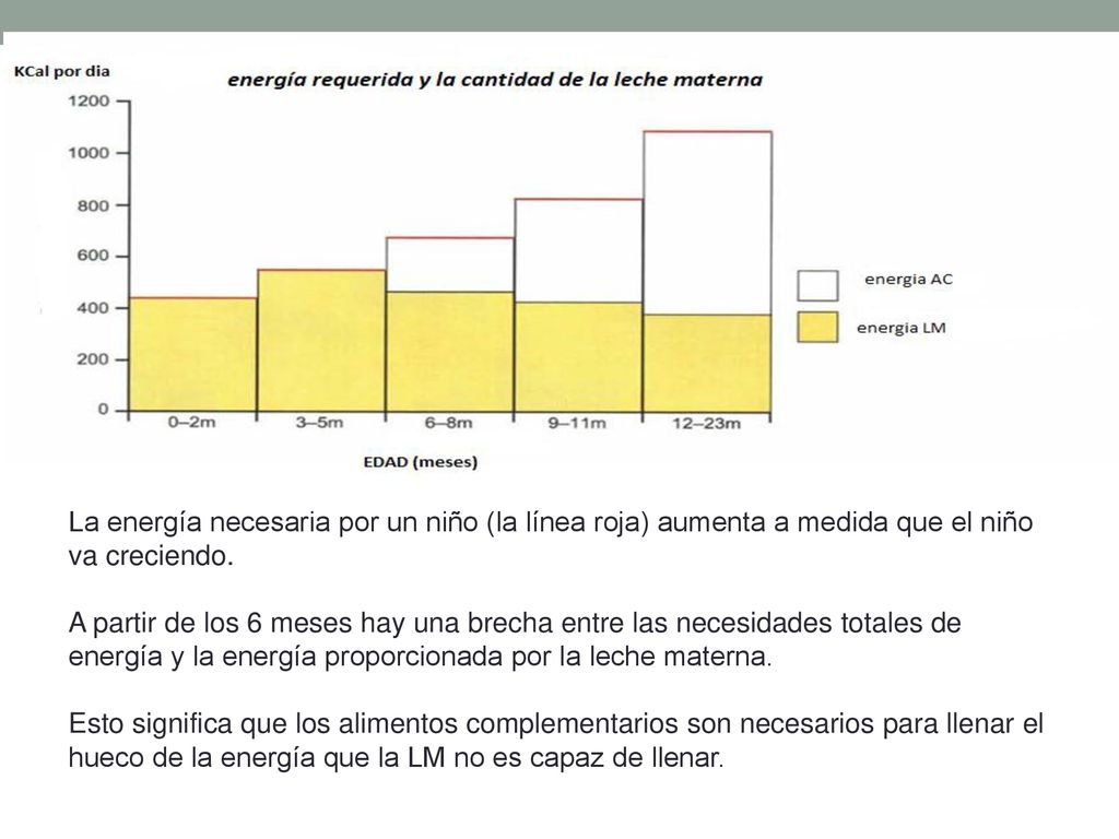 La energía necesaria por un niño (la línea roja) aumenta a medida que el niño va creciendo.