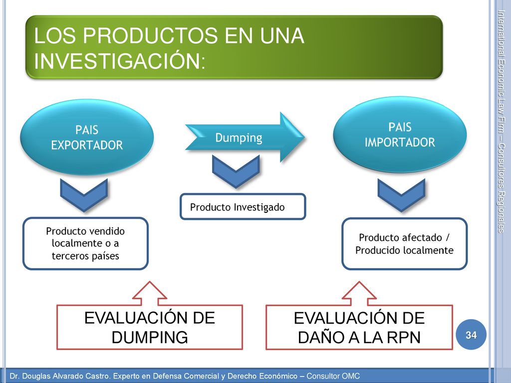 LOS PRODUCTOS EN UNA INVESTIGACIÓN: