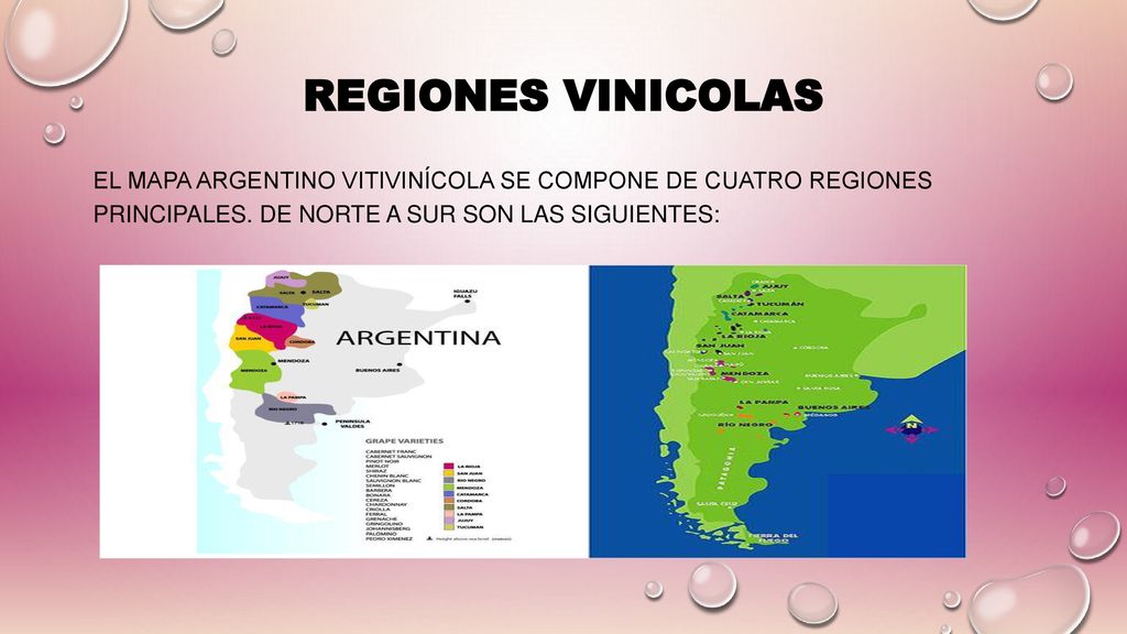 REGIONES VINICOLAS El mapa argentino vitivinícola se compone de cuatro regiones principales.