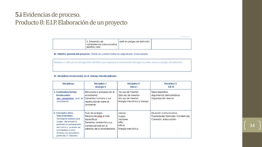 5. i Evidencias de proceso. Producto 8: E. I. P