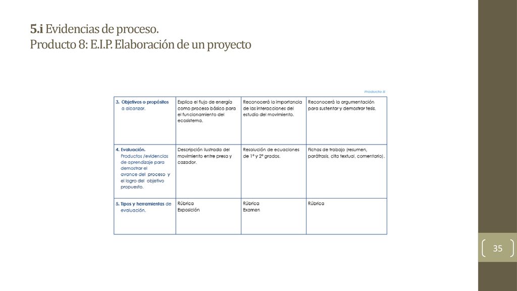 5. i Evidencias de proceso. Producto 8: E. I. P