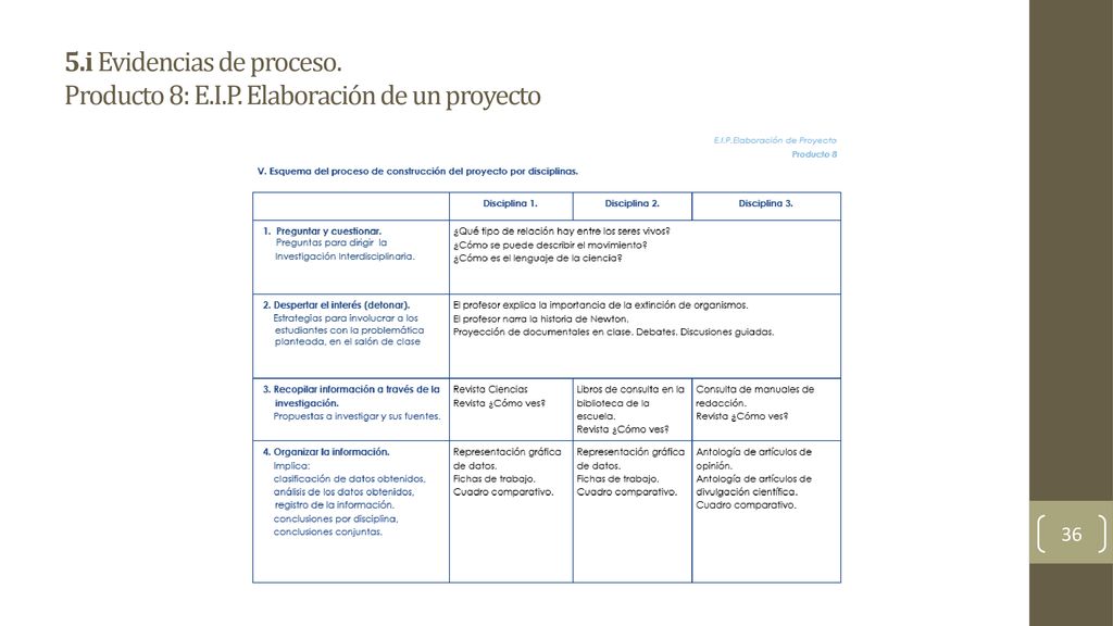 5. i Evidencias de proceso. Producto 8: E. I. P