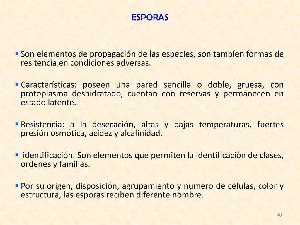 ESPORAS Son elementos de propagación de las especies, son tambíen formas de resitencia en condiciones adversas.