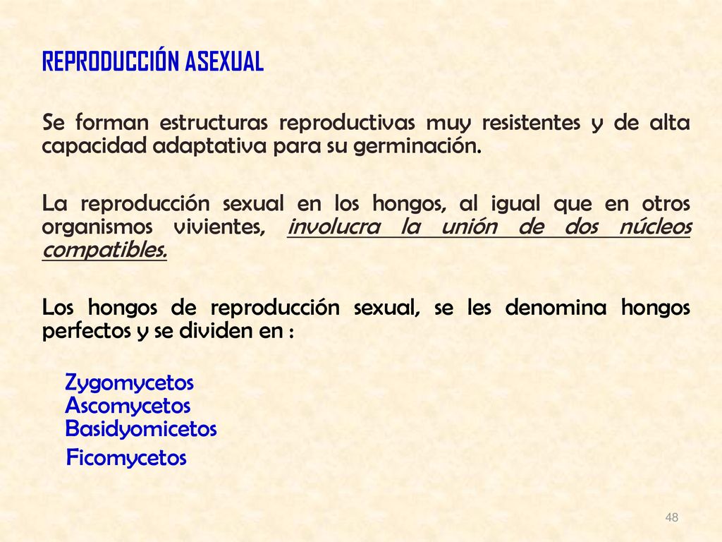 REPRODUCCIÓN ASEXUAL Se forman estructuras reproductivas muy resistentes y de alta capacidad adaptativa para su germinación.