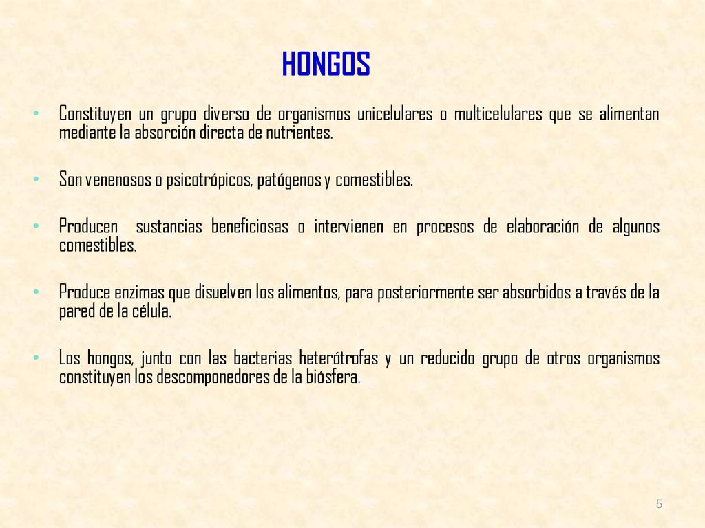 HONGOS Constituyen un grupo diverso de organismos unicelulares o multicelulares que se alimentan mediante la absorción directa de nutrientes.